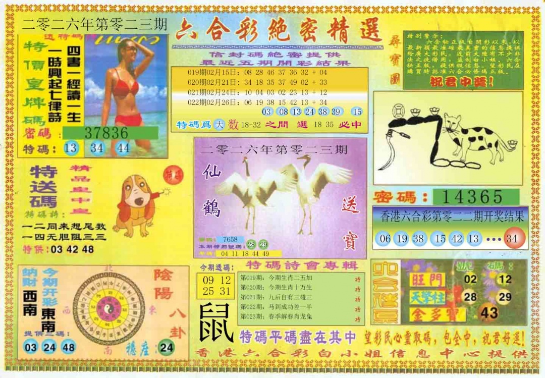 023期绝密精选A[图]