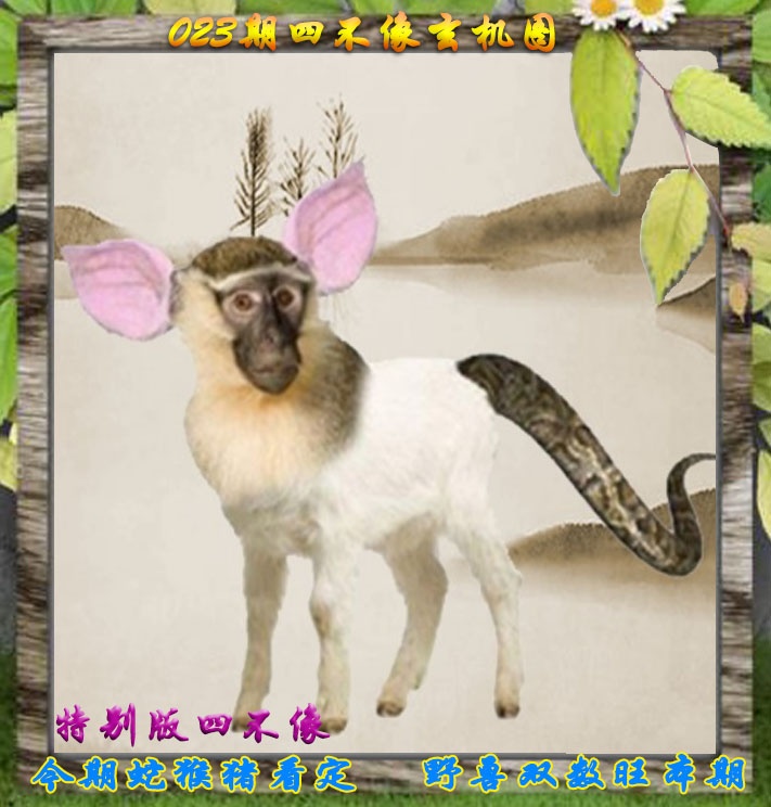 023期四不像特别版[图]